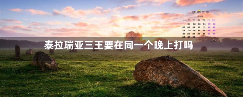 泰拉瑞亚三王要在同一个晚上打吗