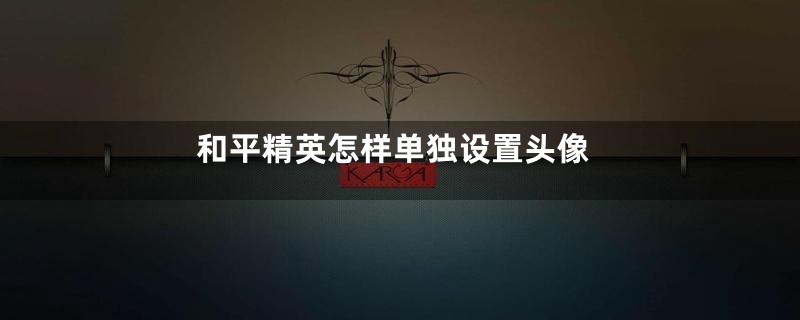 和平精英怎样单独设置头像