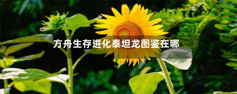 方舟生存进化泰坦龙图鉴在哪