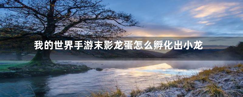 我的世界手游末影龙蛋怎么孵化出小龙