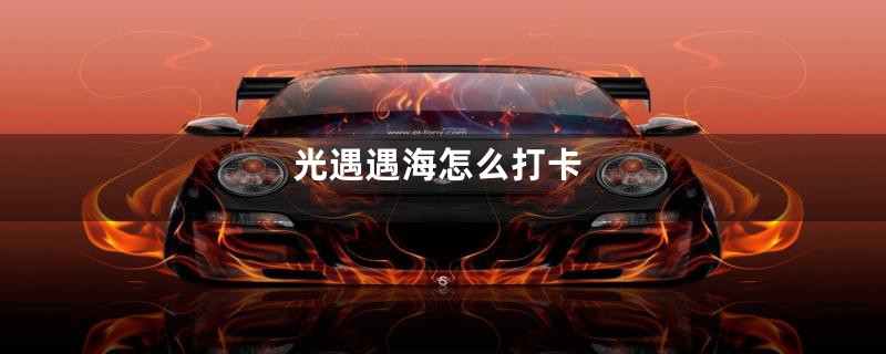 光遇遇海怎么打卡