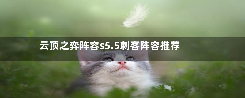 云顶之弈阵容s5.5刺客阵容推荐