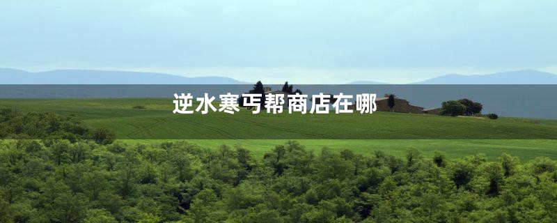 逆水寒丐帮商店在哪