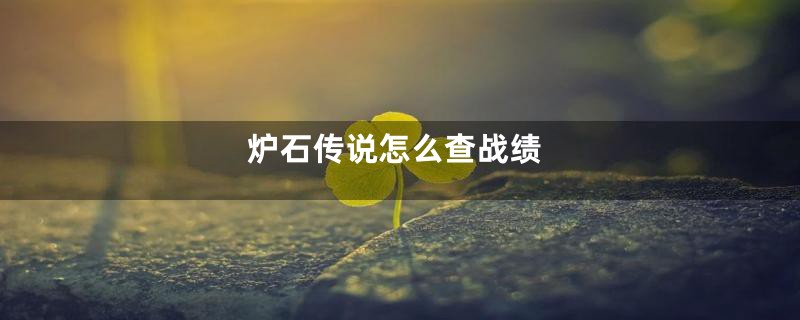 炉石传说怎么查战绩