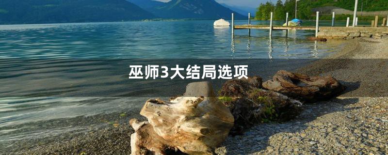 巫师3大结局选项