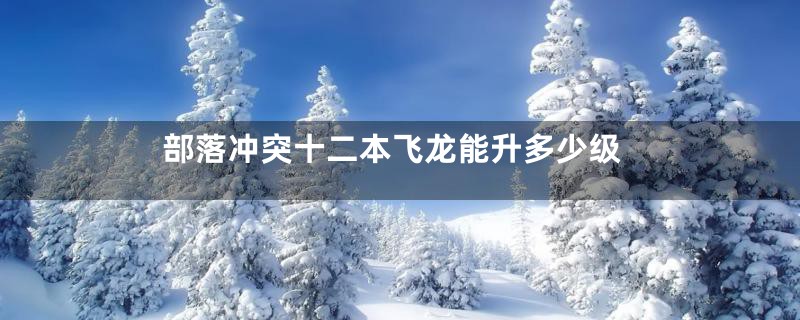 部落冲突十二本飞龙能升多少级