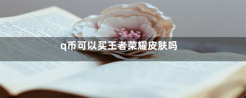 q币可以买王者荣耀皮肤吗