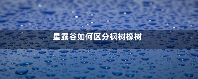 星露谷如何区分枫树橡树