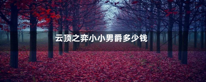 云顶之弈小小男爵多少钱