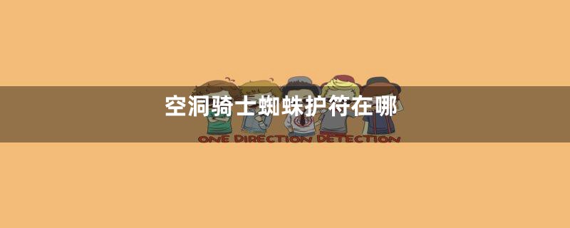 空洞骑士蜘蛛护符在哪
