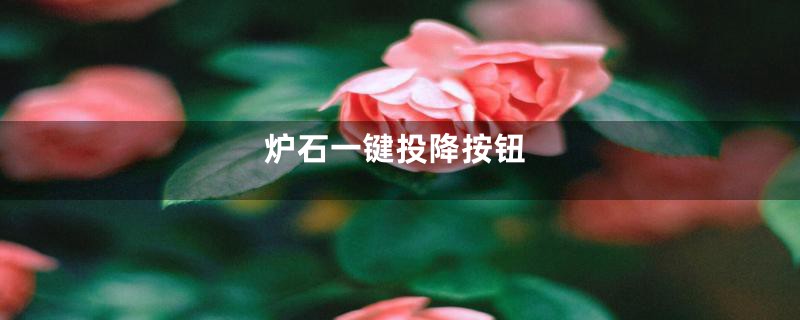 炉石一键投降按钮