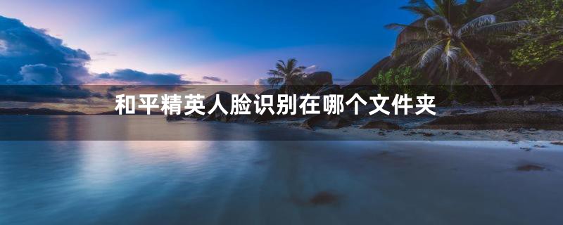 和平精英人脸识别在哪个文件夹
