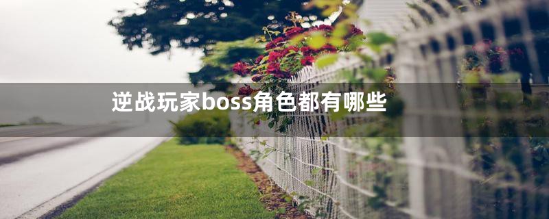 逆战玩家boss角色都有哪些