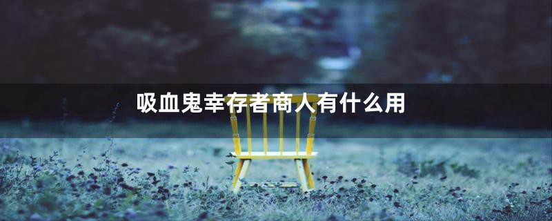 吸血鬼幸存者商人有什么用