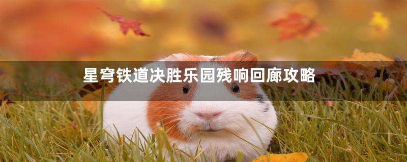 星穹铁道决胜乐园残响回廊攻略