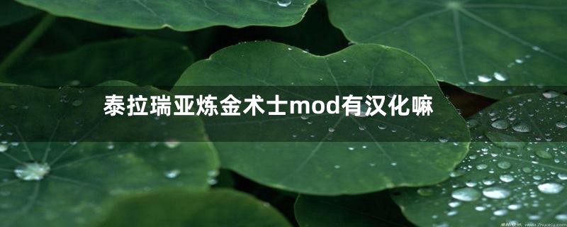 泰拉瑞亚炼金术士mod有汉化嘛