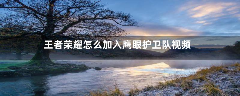 王者荣耀怎么加入鹰眼护卫队视频