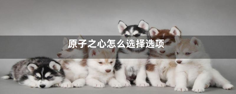 原子之心怎么选择选项