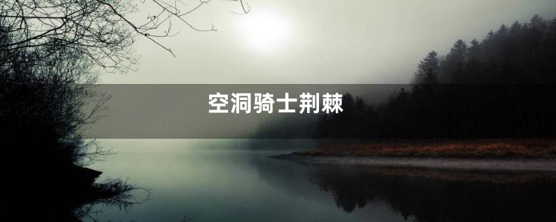 空洞骑士荆棘
