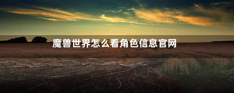 魔兽世界怎么看角色信息官网