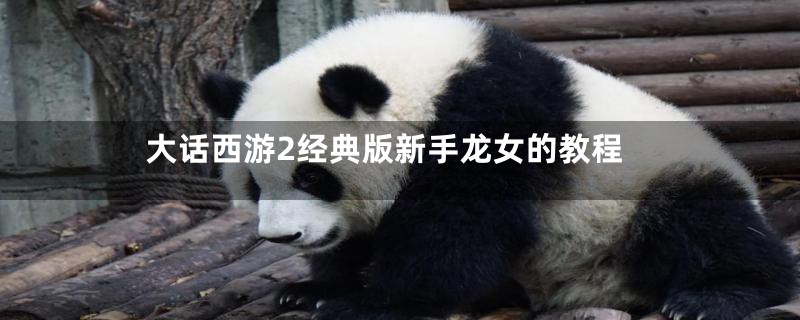 大话西游2经典版新手龙女的教程