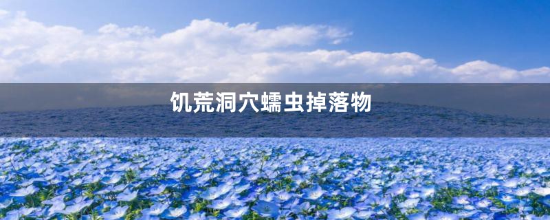 饥荒洞穴蠕虫掉落物