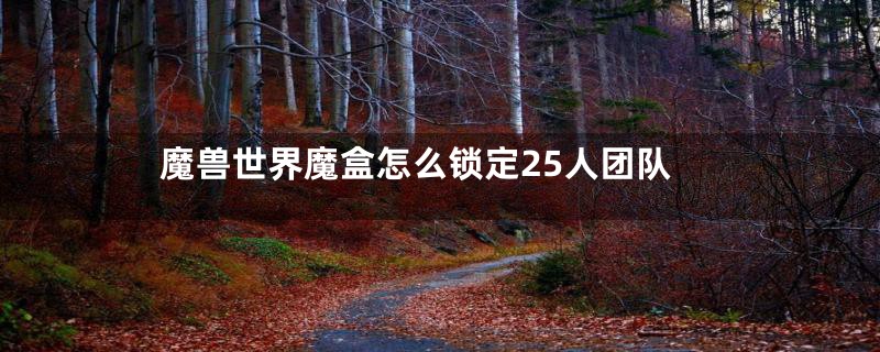 魔兽世界魔盒怎么锁定25人团队