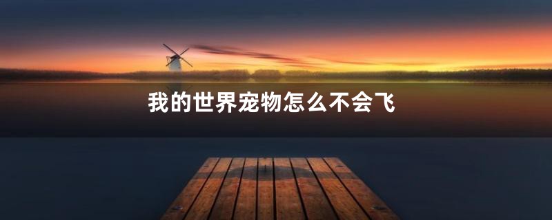 我的世界宠物怎么不会飞