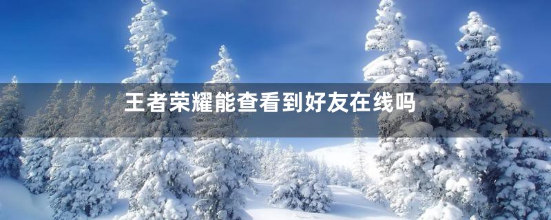 王者荣耀能查看到好友在线吗