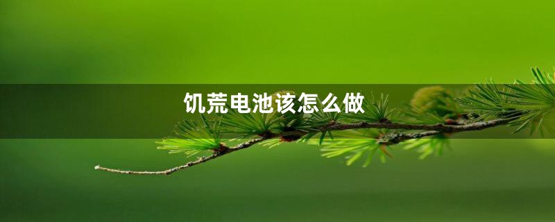 饥荒电池该怎么做