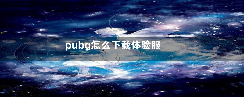 pubg怎么下载体验服