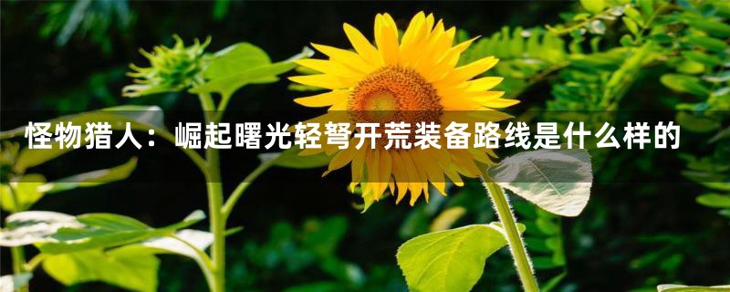 怪物猎人:崛起曙光轻弩开荒装备路线是什么样的
