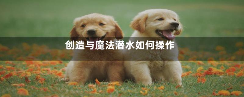 创造与魔法潜水如何操作