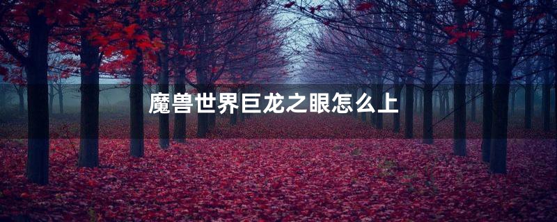 魔兽世界巨龙之眼怎么上
