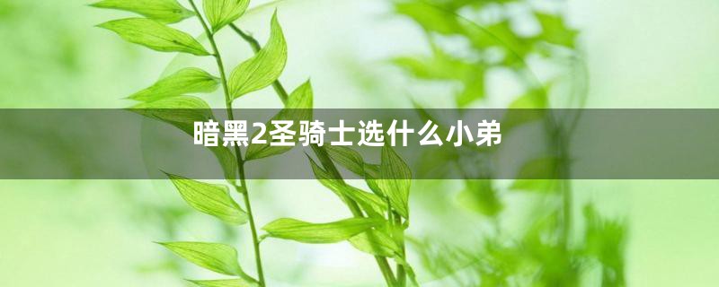 暗黑2圣骑士选什么小弟