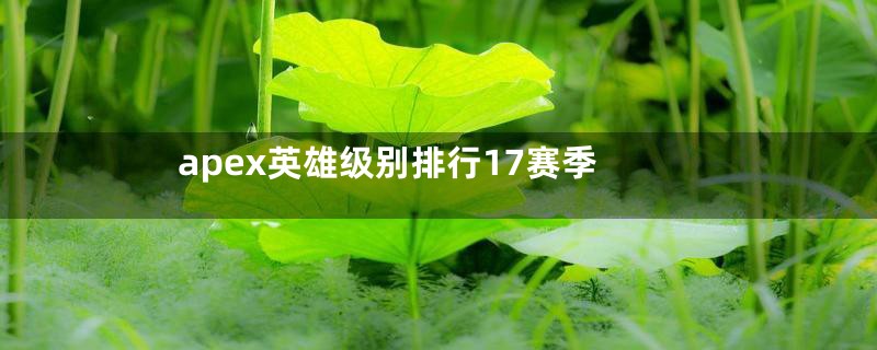 apex英雄级别排行17赛季