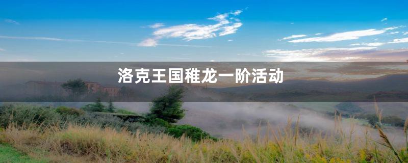 洛克王国稚龙一阶活动
