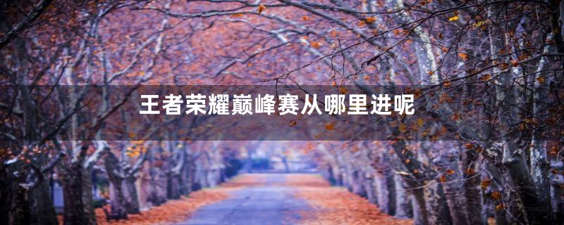 王者荣耀巅峰赛从哪里进呢