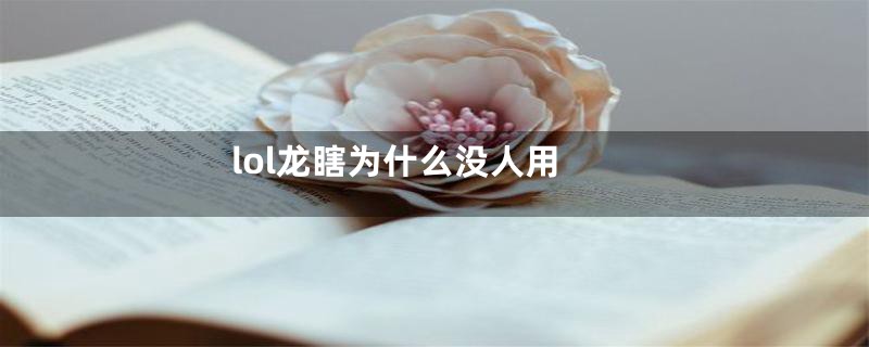 lol龙瞎为什么没人用
