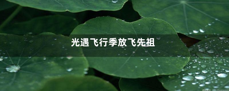 光遇飞行季放飞先祖