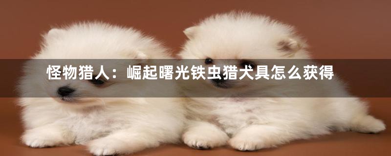 怪物猎人:崛起曙光铁虫猎犬具怎么获得