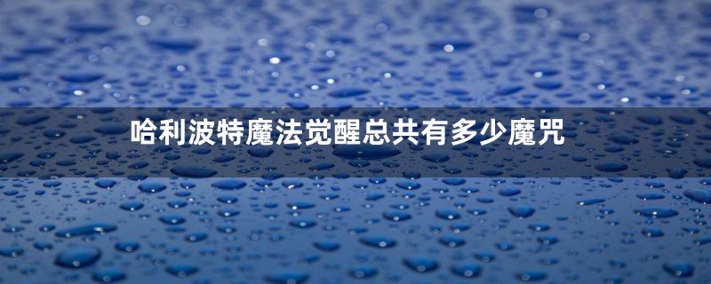 哈利波特魔法觉醒总共有多少魔咒