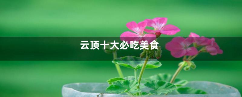 云顶十大必吃美食