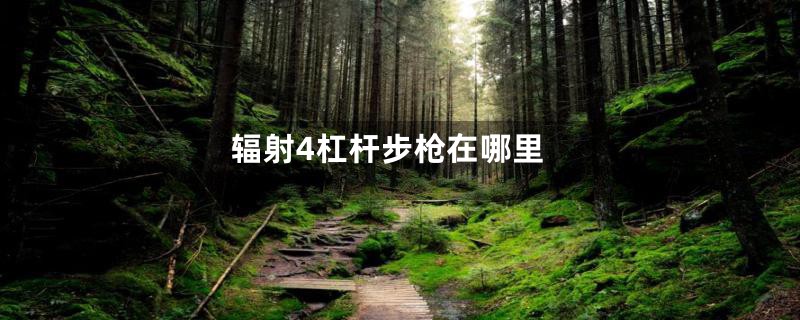 辐射4杠杆步枪在哪里