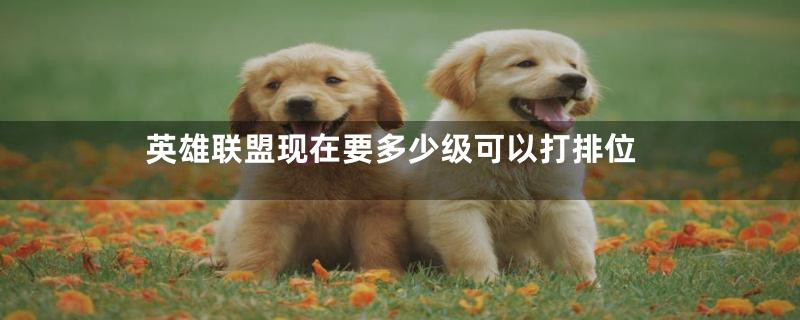英雄联盟现在要多少级可以打排位