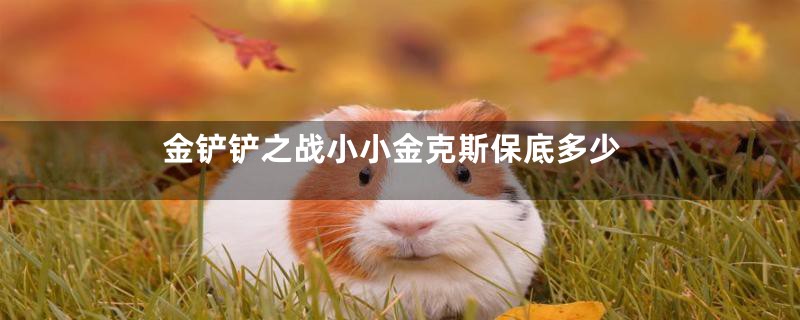金铲铲之战小小金克斯保底多少