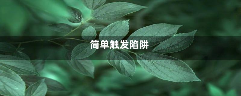 简单触发陷阱