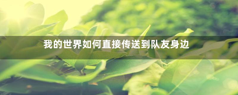 我的世界如何直接传送到队友身边