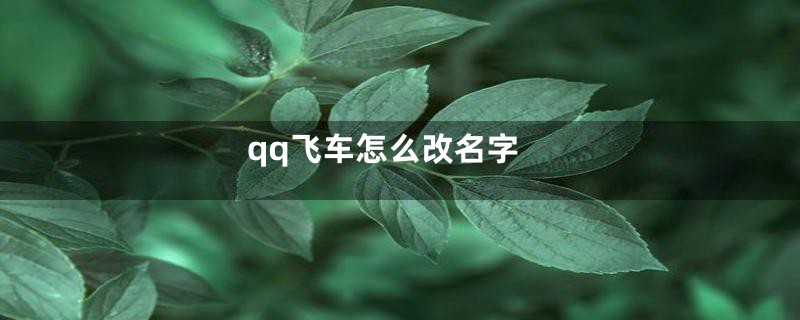 qq飞车怎么改名字