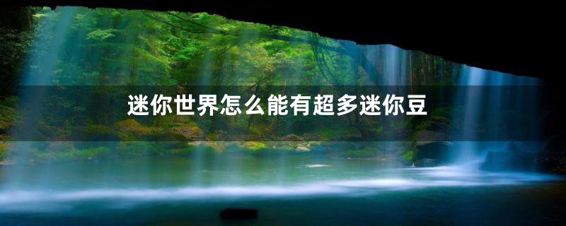 迷你世界怎么能有超多迷你豆